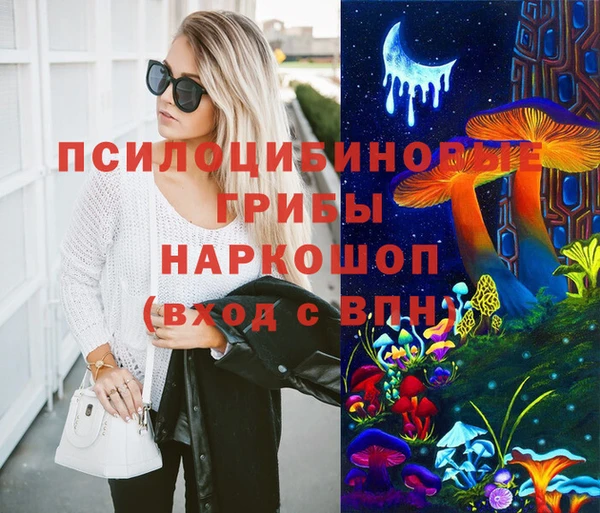 гашик Алзамай