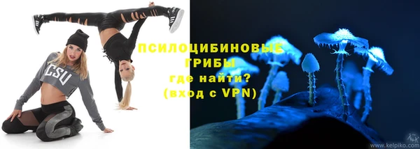гашик Алзамай