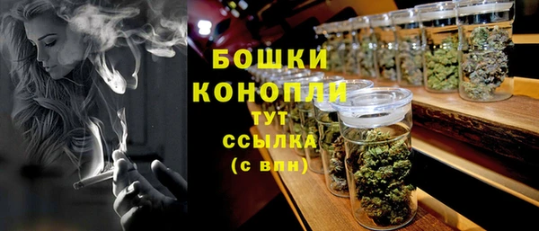 ГАЛЛЮЦИНОГЕННЫЕ ГРИБЫ Покачи